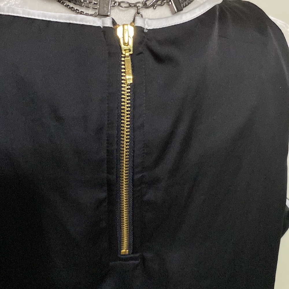10/$10 Dana Buchman Black & White Lined Dress. EUC Size Large - Picture 6 of 10